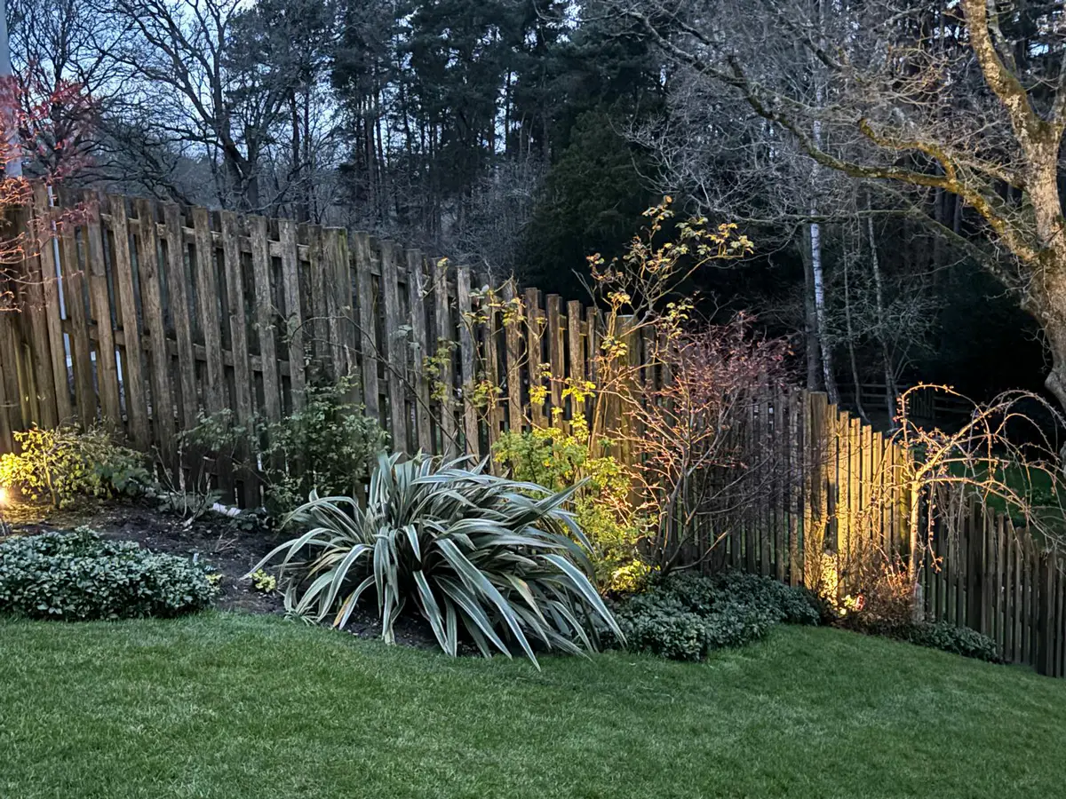 Garden Landscape & Boundary Fence Uplighting by Renew Electrical